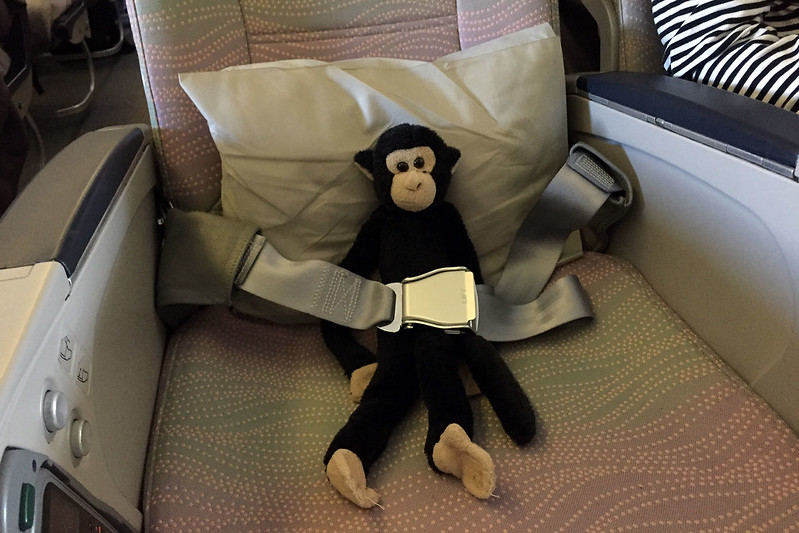Monkey on the plane