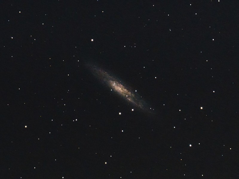 NGC253 ちょうこくしつ座銀河 (2019/11/1 22:06)
