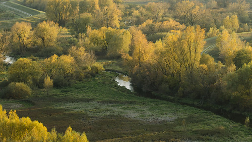 autumn fall poland polska chodelka river trees nikon d7000 sigma 105mm landscape nature naturephotography