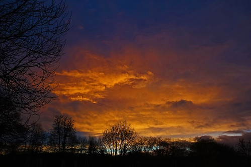 sunrise cullompton leat fields devon cloud orange blue tree trees sky ipm