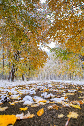 fall fallcolors moraineviewstatepark dawsonlake snow centralillinois illinois enjoyillinois