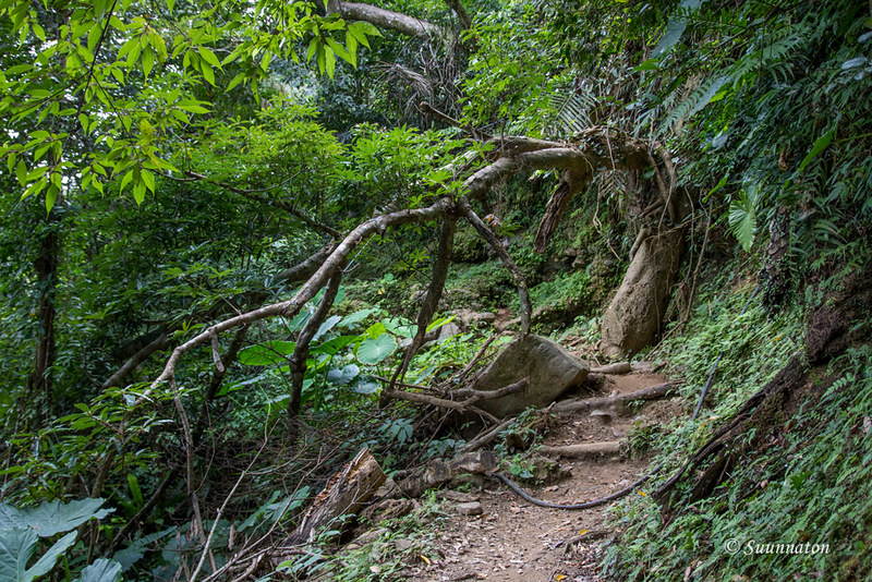 Dali-Datong Trail, Tarokon kansallispuisto, Taiwan