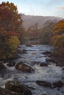 A River in Autumn 2