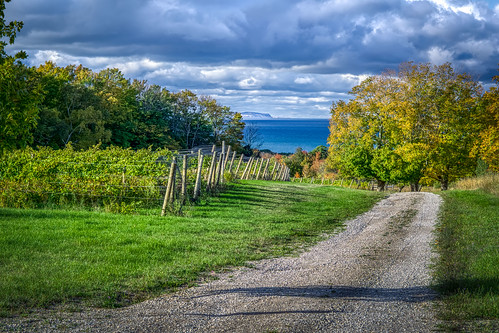 lakemichigan leelanau autumn vinyard wine northport michigan unitedstatesofamerica