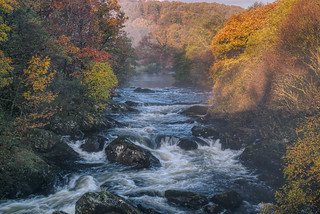 A River in Autumn