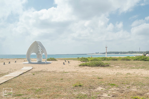 A7302149-2.jpg