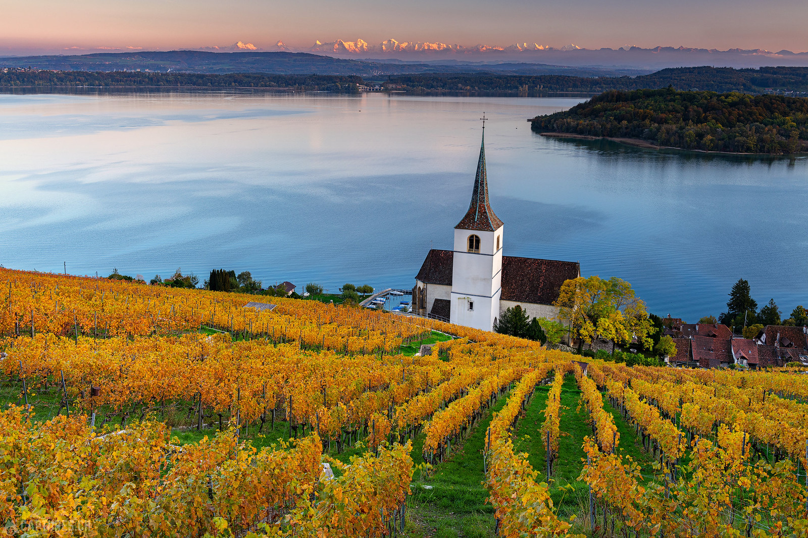 Alps and the church - Ligerz