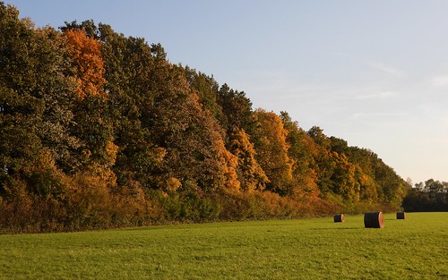 ostrava proskovice 2019 podzim autumn nikoncoolpixp1000 p1000 ultrazoom krajina landscape stromy trees pole field obloha sky nature příroda venkov countryside barvy colours