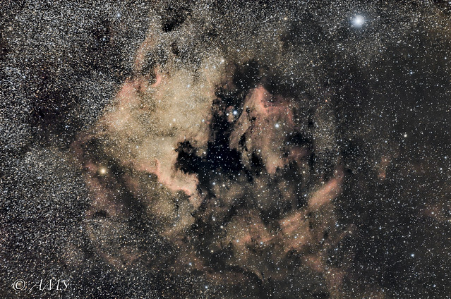 Nebulosa del Pelicano y Norteamerica