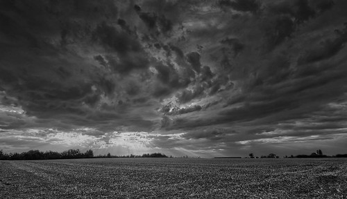 clouds cloudy havering london storm stormy swirl canon canondslr canon700d 700d monochrome blackandwhite field fields countryside essex essexlandscape essexlandscapes farm farmland