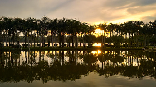 trees thailand reflection twilight sunset lake dawn water sky clouds sun blue light