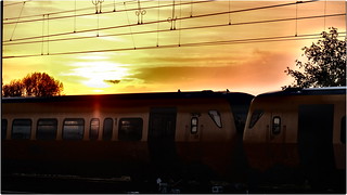 Sunset Train