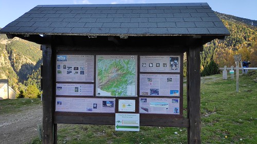 IMG_20191103_153319