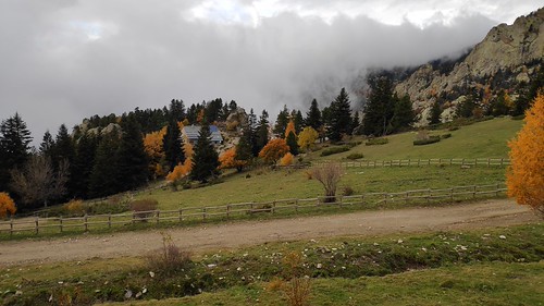 IMG_20191102_163102