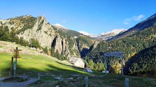 IMG_20191103_152455