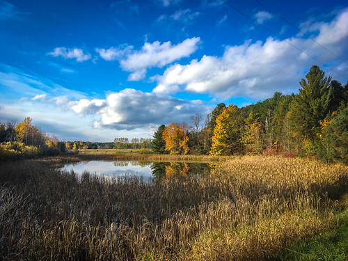 leelanau autumn landscape pond lakeleelanau michigan unitedstatesofamerica