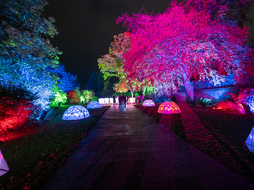 Sheffield Botanical Gardens; "Iluminating the Gardens 2019"