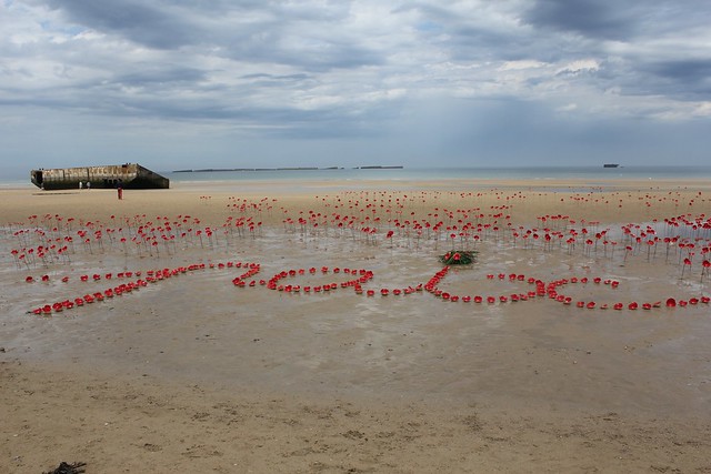 2014 06 09 0773 Poppies on Arromanches Beach