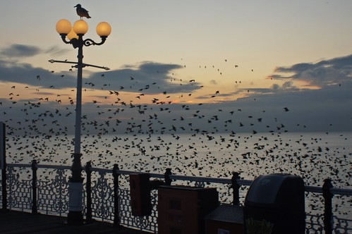The Fly Pass | by Robert Sarjant