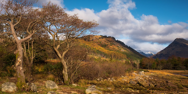 Glen Etive, Scotland(3)