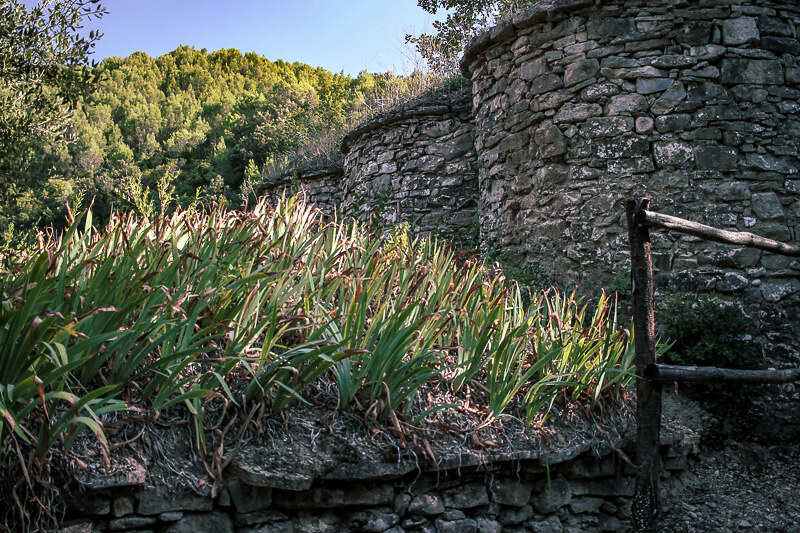 Lagares Montcau - Bages