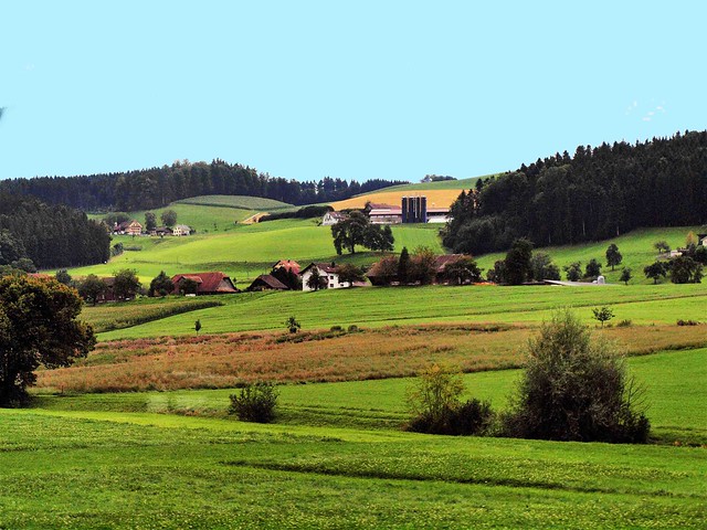 Tuscany  farm