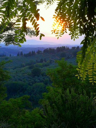 italia italie italy toscane campagne coucherdesoleil sunset paysage feuillage castelfiorentino