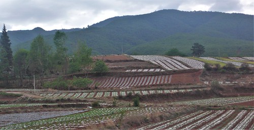 ch-yu9-lijiang 1-shaxi-lijiang (16)