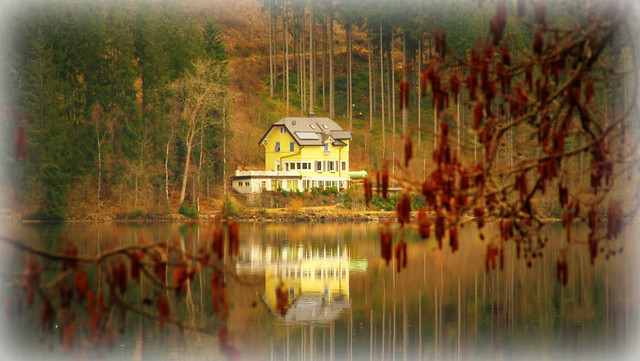 Titisee reflections (Germany)