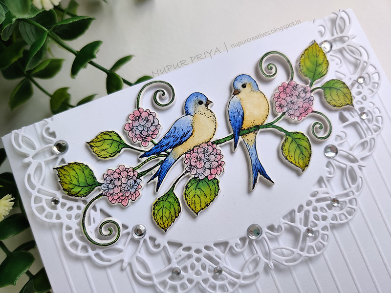 Bird Hydrangea card_Nupur Priya_02