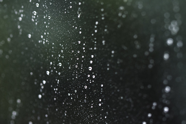 Rain / Lluvia