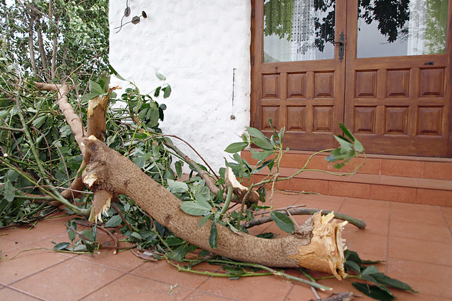 storm damage, Tenerife