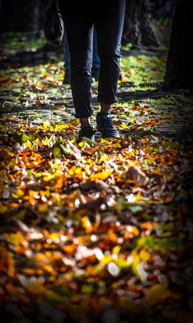 Autumnal Walk