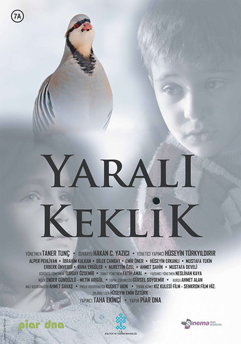 Yaralı Keklik (2019)