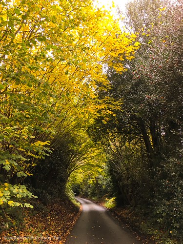 Chorley, Burntwood, England | by cattan2011