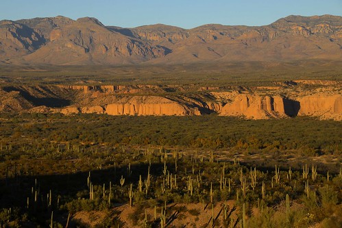 arizona cacti desert 2017 usa mountains landscapes unitedstatesofamerica gps pinalcounty sanpedrorivervalley saguarocactuscarnegieagigantea
