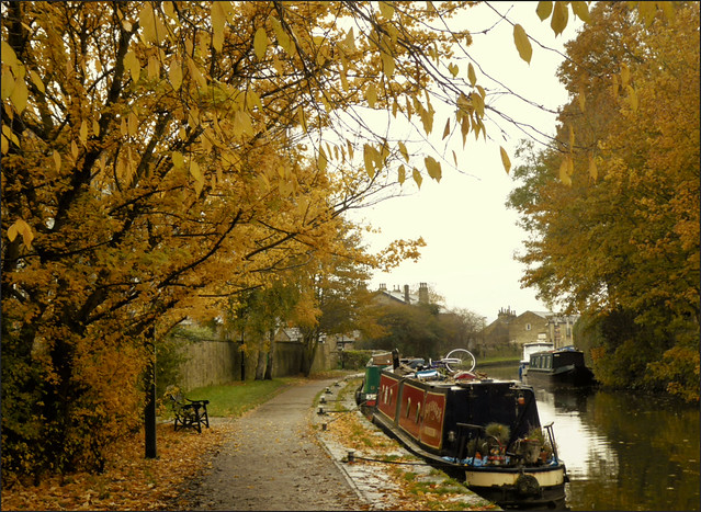 Autumn along the canal.