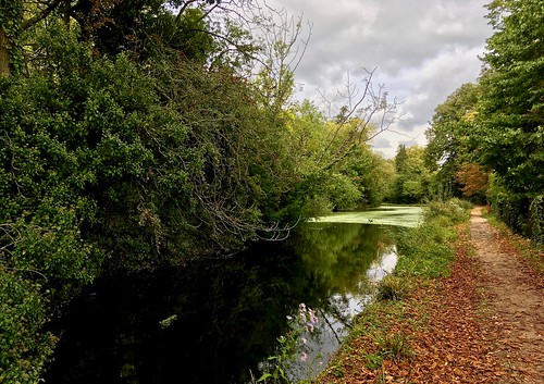autumn enfield enfieldtownpark iphone lake landscape nature outdoor park river riverbank trees water woodlands