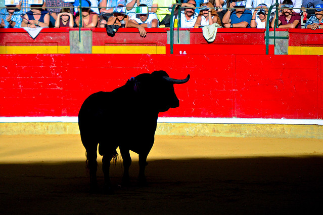 Bullfighting - Corrida de Toros