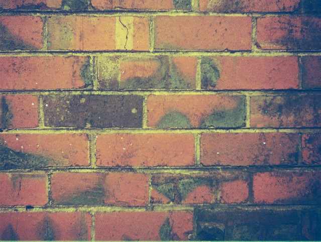 Bricks (photo 3)