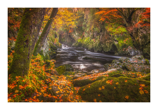 Autumn at The Fairy Glen