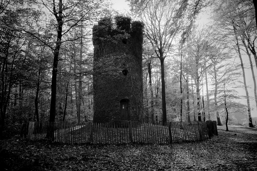 The tower in the forest