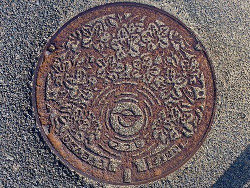 Hizen Saga, manhole cover （佐賀県肥前町のマンホール）