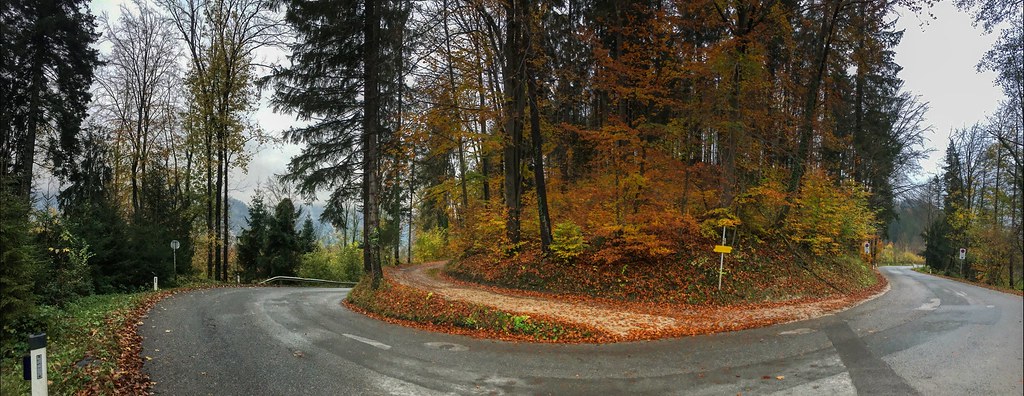 Autumn forest panorama with road in Tyrol, Austria