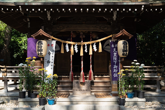 Kasuga jinja shrine