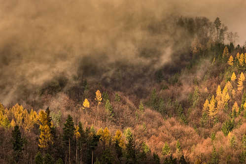 slovakia light liptov landscape fog forest trees nikon 7200