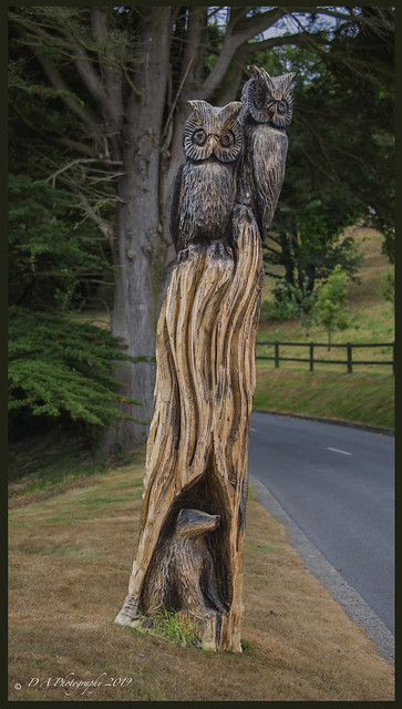 Owl's Wood Carving DSC_2221
