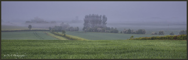 Misty Landscape_DSC0846