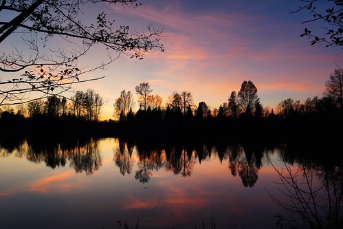 reflection silhouette sky sunset symmetry tree water