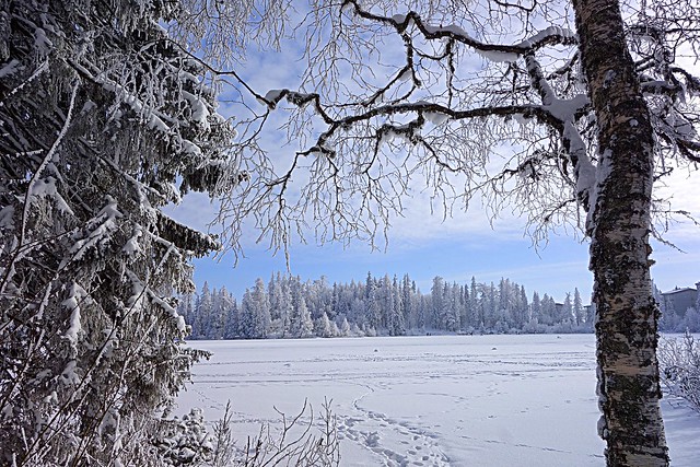 winter, Slovakia